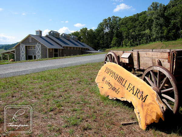 The sign and gorgeous barn at Pippin Hill Farm Vineyards